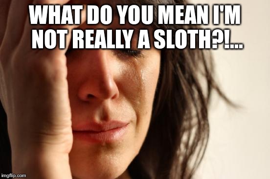 First World Problems | WHAT DO YOU MEAN I'M NOT REALLY A SLOTH?!... | image tagged in memes,first world problems | made w/ Imgflip meme maker