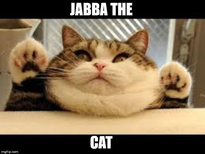 Jabba the cat  | JABBA THE; CAT | image tagged in cat,starwars,jabba | made w/ Imgflip meme maker