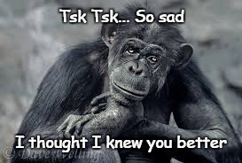 Disappointed Chimp | Tsk Tsk... So sad; I thought I knew you better | image tagged in bad joke,i thought i knew you,so sad,tsk tsk | made w/ Imgflip meme maker