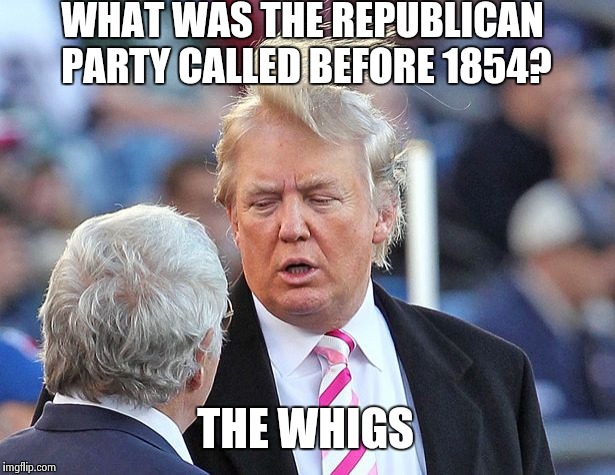 Ironic, isn't it? | WHAT WAS THE REPUBLICAN PARTY CALLED BEFORE 1854? THE WHIGS | image tagged in trump bad hair,memes | made w/ Imgflip meme maker