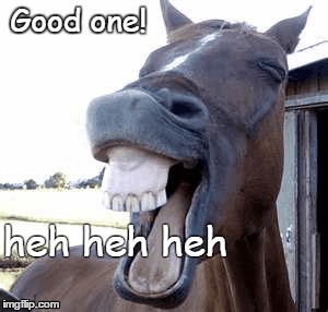Good one! heh heh heh | image tagged in horse teeth,teeth,horse,laughing,animals,funny | made w/ Imgflip meme maker