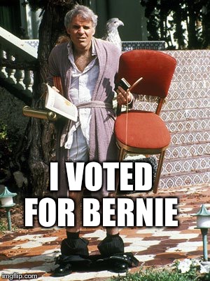 The jerk all I need | I VOTED FOR BERNIE | image tagged in the jerk all i need | made w/ Imgflip meme maker