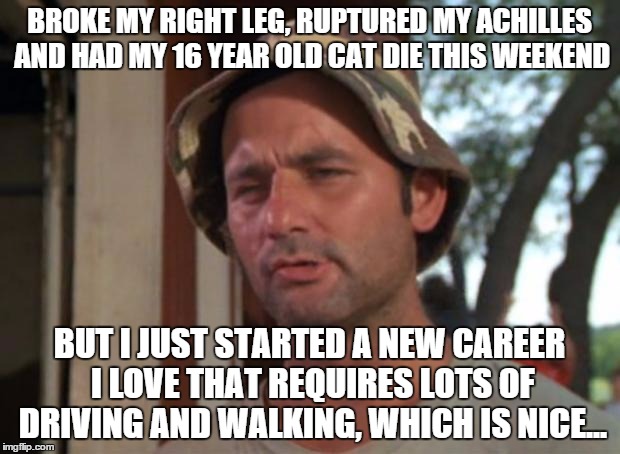 So I Got That Goin For Me Which Is Nice | BROKE MY RIGHT LEG, RUPTURED MY ACHILLES AND HAD MY 16 YEAR OLD CAT DIE THIS WEEKEND; BUT I JUST STARTED A NEW CAREER I LOVE THAT REQUIRES LOTS OF DRIVING AND WALKING, WHICH IS NICE... | image tagged in memes,so i got that goin for me which is nice,AdviceAnimals | made w/ Imgflip meme maker