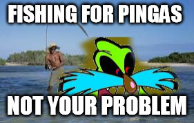 Fishing for Pingas | FISHING FOR PINGAS; NOT YOUR PROBLEM | image tagged in fishing for pingas | made w/ Imgflip meme maker