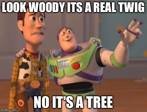 X, X Everywhere Meme | LOOK WOODY ITS A REAL TWIG; NO IT'S A TREE | image tagged in memes,x x everywhere | made w/ Imgflip meme maker