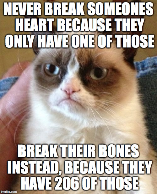 Grumpy Cat | NEVER BREAK SOMEONES HEART BECAUSE THEY ONLY HAVE ONE OF THOSE; BREAK THEIR BONES INSTEAD, BECAUSE THEY HAVE 206 OF THOSE | image tagged in memes,grumpy cat | made w/ Imgflip meme maker
