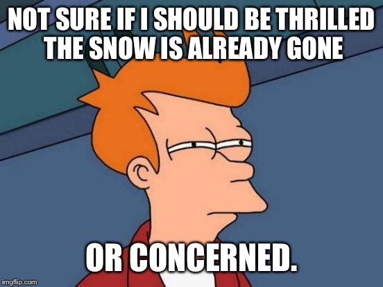 Futurama Fry | NOT SURE IF I SHOULD BE THRILLED THE SNOW IS ALREADY GONE; OR CONCERNED. | image tagged in memes,futurama fry | made w/ Imgflip meme maker