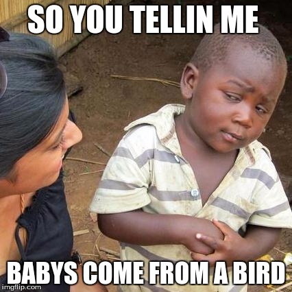 Third World Skeptical Kid | SO YOU TELLIN ME; BABYS COME FROM A BIRD | image tagged in memes,third world skeptical kid | made w/ Imgflip meme maker