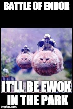 flying cat stormtrooper | BATTLE OF ENDOR; IT'LL BE EWOK IN THE PARK | image tagged in flying cat stormtrooper | made w/ Imgflip meme maker
