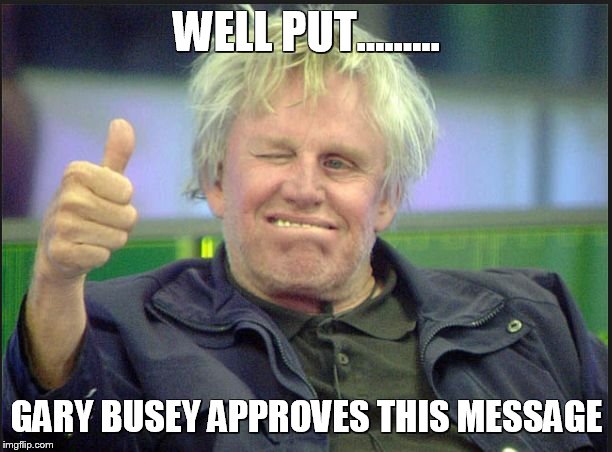 gary | WELL PUT......... GARY BUSEY APPROVES THIS MESSAGE | image tagged in gary | made w/ Imgflip meme maker