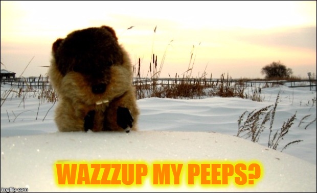 WAZZZUP MY PEEPS? | made w/ Imgflip meme maker