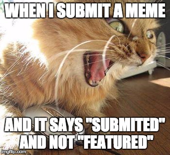 imgflip should probably fix that | WHEN I SUBMIT A MEME; AND IT SAYS "SUBMITED" AND NOT "FEATURED" | image tagged in angry cat | made w/ Imgflip meme maker