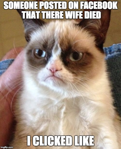 easiest way to lose a friend on facebook | SOMEONE POSTED ON FACEBOOK THAT THERE WIFE DIED; I CLICKED LIKE | image tagged in memes,grumpy cat | made w/ Imgflip meme maker