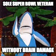 Super Bowl Left Shark | SOLE SUPER BOWL VETERAN; WITHOUT BRAIN DAMAGE | image tagged in super bowl left shark | made w/ Imgflip meme maker