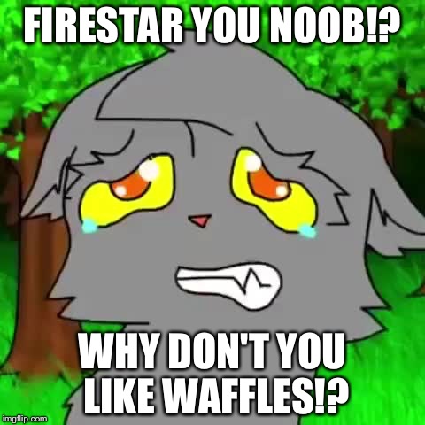 Firestar doesn't like waffles | FIRESTAR YOU NOOB!? WHY DON'T YOU LIKE WAFFLES!? | image tagged in firestar doesn't like waffles | made w/ Imgflip meme maker