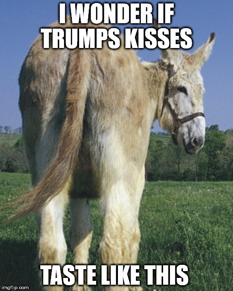 donkey ass | I WONDER IF TRUMPS KISSES TASTE LIKE THIS | image tagged in donkey ass | made w/ Imgflip meme maker