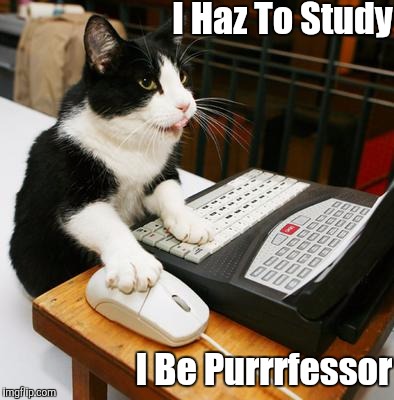 Cat Motivation | I Haz To Study; I Be Purrrfessor | image tagged in cat motivation | made w/ Imgflip meme maker