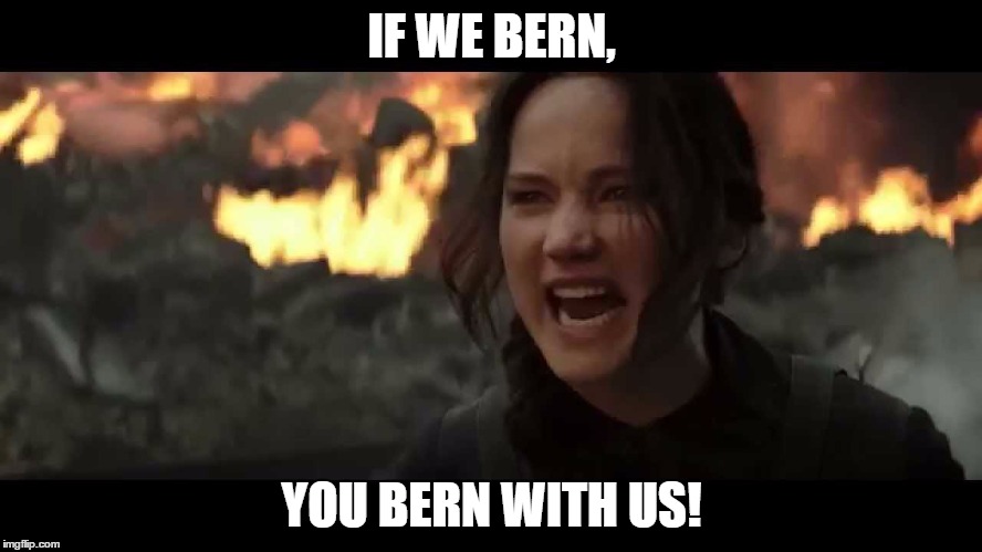 Katniss is fed up with today's government. | IF WE BERN, YOU BERN WITH US! | image tagged in feelthebern,katniss,bernie2016,hungergames,bern | made w/ Imgflip meme maker