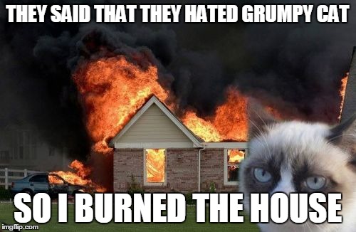 No one hates me | THEY SAID THAT THEY HATED GRUMPY CAT; SO I BURNED THE HOUSE | image tagged in memes,burn kitty | made w/ Imgflip meme maker