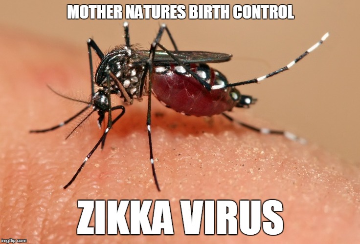 BirthControl | MOTHER NATURES BIRTH CONTROL; ZIKKA VIRUS | image tagged in mother of god | made w/ Imgflip meme maker