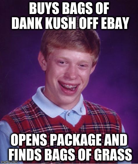 Bad Luck Brian | BUYS BAGS OF DANK KUSH OFF EBAY; OPENS PACKAGE AND FINDS BAGS OF GRASS | image tagged in memes,bad luck brian | made w/ Imgflip meme maker