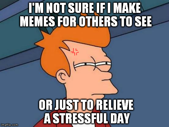 At some point i just have enough of it all and wanna browse memes. | I'M NOT SURE IF I MAKE MEMES FOR OTHERS TO SEE; OR JUST TO RELIEVE A STRESSFUL DAY | image tagged in memes,futurama fry | made w/ Imgflip meme maker