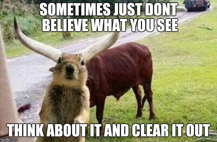 Eyes can decieve | SOMETIMES JUST DONT BELIEVE WHAT YOU SEE; THINK ABOUT IT AND CLEAR IT OUT | image tagged in funny memes,illusions | made w/ Imgflip meme maker