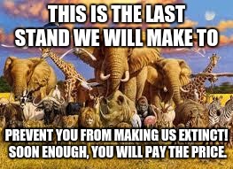 animals | THIS IS THE LAST STAND WE WILL MAKE TO; PREVENT YOU FROM MAKING US EXTINCT! SOON ENOUGH, YOU WILL PAY THE PRICE. | image tagged in animals | made w/ Imgflip meme maker
