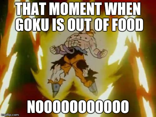 Goku SSJ | THAT MOMENT WHEN GOKU IS OUT OF FOOD; NOOOOOOOOOOO | image tagged in goku ssj | made w/ Imgflip meme maker