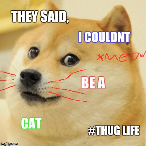 Doge Meme | THEY SAID, I COULDNT; BE A; CAT; #THUG LIFE | image tagged in memes,doge | made w/ Imgflip meme maker