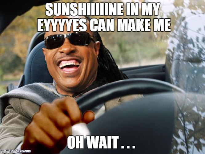 Stevie Wonder driving | SUNSHIIIIINE IN MY EYYYYES CAN MAKE ME OH WAIT . . . | image tagged in stevie wonder driving | made w/ Imgflip meme maker