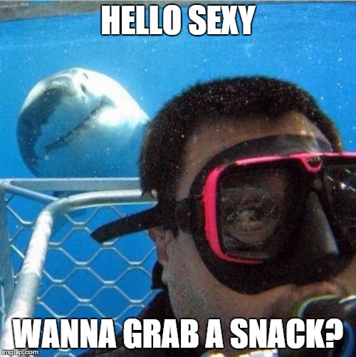 HELLO SEXY; WANNA GRAB A SNACK? | image tagged in sharky pic | made w/ Imgflip meme maker