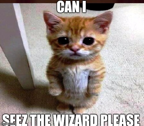 CAN I SEEZ THE WIZARD PLEASE | made w/ Imgflip meme maker