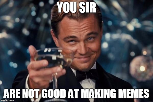 Leonardo Dicaprio Cheers | YOU SIR; ARE NOT GOOD AT MAKING MEMES | image tagged in memes,leonardo dicaprio cheers | made w/ Imgflip meme maker