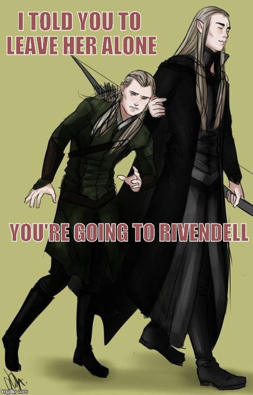 Obey Thy Father | I TOLD YOU TO LEAVE HER ALONE; YOU'RE GOING TO RIVENDELL | image tagged in thranduil and legolas | made w/ Imgflip meme maker