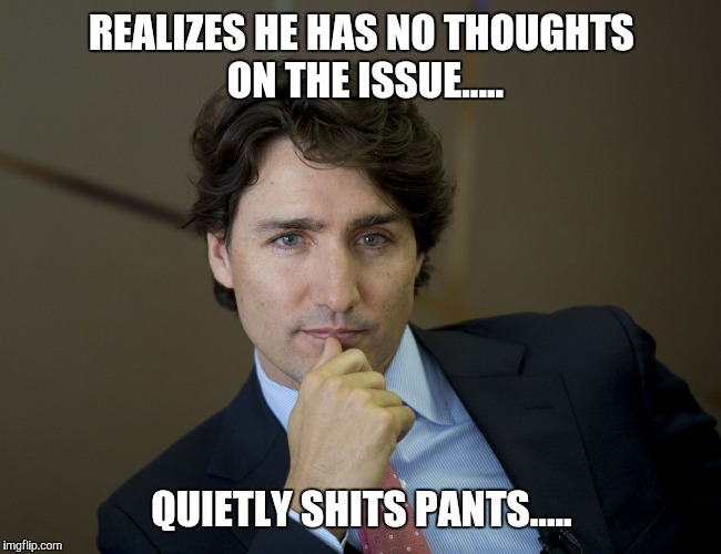 Justin Trudeau | REALIZES HE HAS NO THOUGHTS ON THE ISSUE..... QUIETLY SHITS PANTS..... | image tagged in justin trudeau | made w/ Imgflip meme maker
