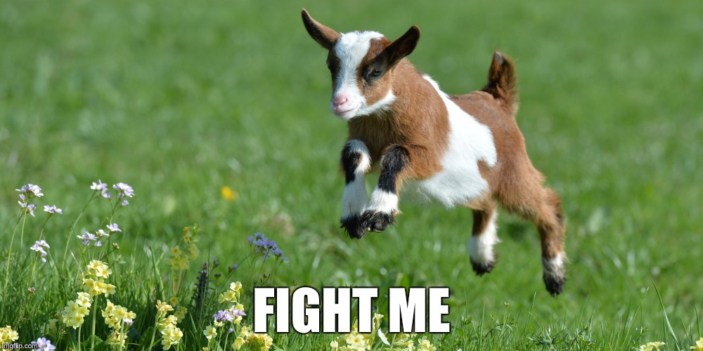 Fierce  | FIGHT ME | image tagged in goats | made w/ Imgflip meme maker