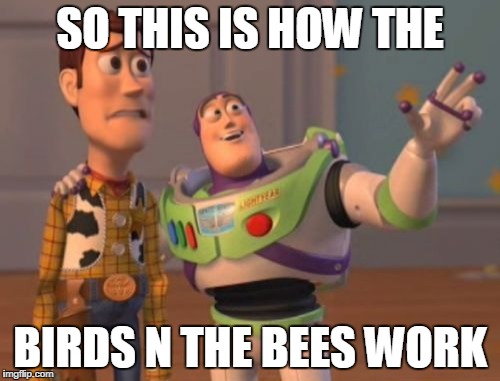 X, X Everywhere | SO THIS IS HOW THE; BIRDS N THE BEES WORK | image tagged in memes,x x everywhere | made w/ Imgflip meme maker