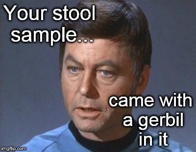 Your stool sample... came with a gerbil in it | image tagged in roy | made w/ Imgflip meme maker