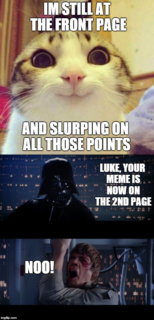 When you come onto imgflip thinking you still on the front page | IM STILL AT THE FRONT PAGE; AND SLURPING ON ALL THOSE POINTS; LUKE, YOUR MEME IS NOW ON THE 2ND PAGE; NOO! | image tagged in afteryoumakeagoodmeme,kittykat,lukeskywalker | made w/ Imgflip meme maker