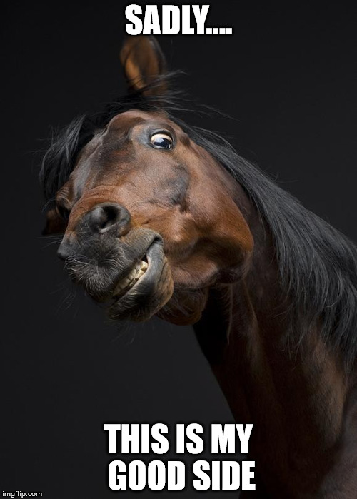 ScaryHorse | SADLY.... THIS IS MY GOOD SIDE | image tagged in scaryhorse | made w/ Imgflip meme maker