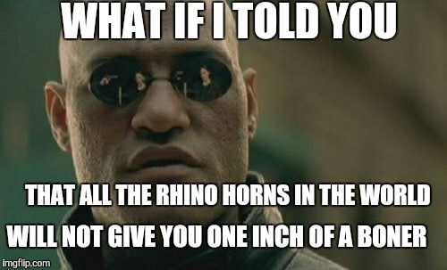 Matrix Morpheus Meme | WHAT IF I TOLD YOU THAT ALL THE RHINO HORNS IN THE WORLD WILL NOT GIVE YOU ONE INCH OF A BONER | image tagged in memes,matrix morpheus | made w/ Imgflip meme maker