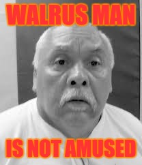WALRUS MAN; IS NOT AMUSED | image tagged in walrus,man,walrus man | made w/ Imgflip meme maker