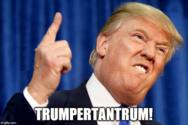 Trumpertantrum | TRUMPERTANTRUM! | image tagged in trumpertantrum | made w/ Imgflip meme maker