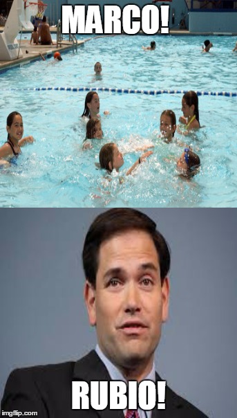 Marco!!! |  MARCO! RUBIO! | image tagged in marco rubio,kids,swimming pool,game,republican | made w/ Imgflip meme maker