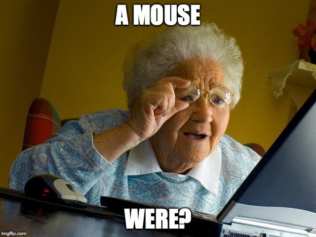 Grandma Finds The Internet | A MOUSE; WERE? | image tagged in memes,grandma finds the internet | made w/ Imgflip meme maker