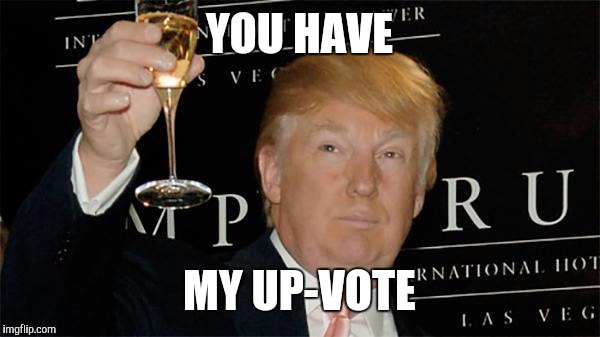 Donald Trump Cheers | YOU HAVE MY UP-VOTE | image tagged in donald trump cheers | made w/ Imgflip meme maker