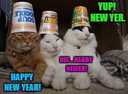 Happy New Year! | YUP! NEW YER. HIC...HABBY NEWER! HAPPY NEW YEAR! | image tagged in new years,cats | made w/ Imgflip meme maker