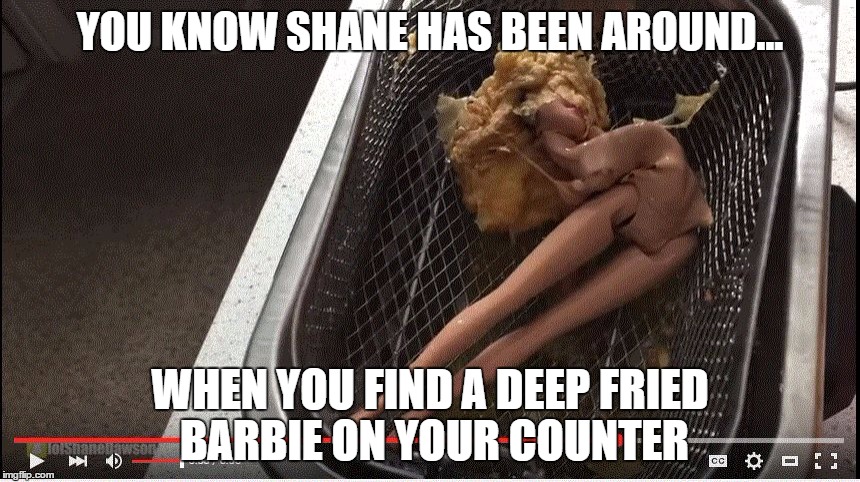 Deep Fried Barbie | YOU KNOW SHANE HAS BEEN AROUND... WHEN YOU FIND A DEEP FRIED BARBIE ON YOUR COUNTER | image tagged in deep fried barbie | made w/ Imgflip meme maker
