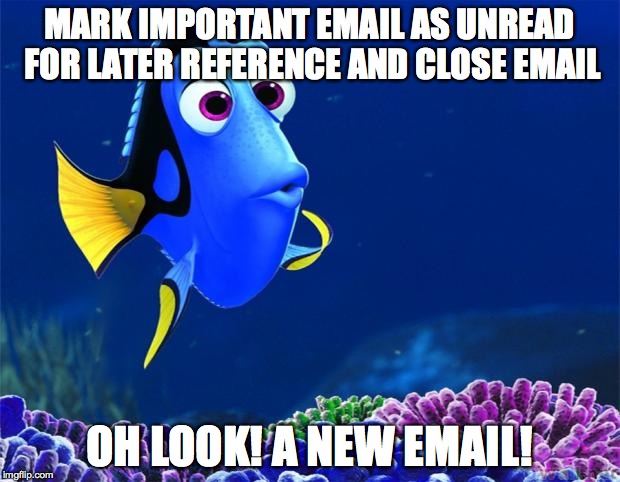 Dory | MARK IMPORTANT EMAIL AS UNREAD FOR LATER REFERENCE AND CLOSE EMAIL; OH LOOK! A NEW EMAIL! | image tagged in dory,AdviceAnimals | made w/ Imgflip meme maker